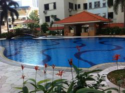 Pacific Mansion (Enbloc) (D9), Apartment #85237262